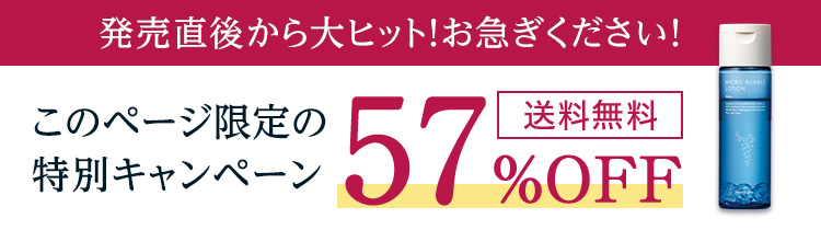 このページ限定