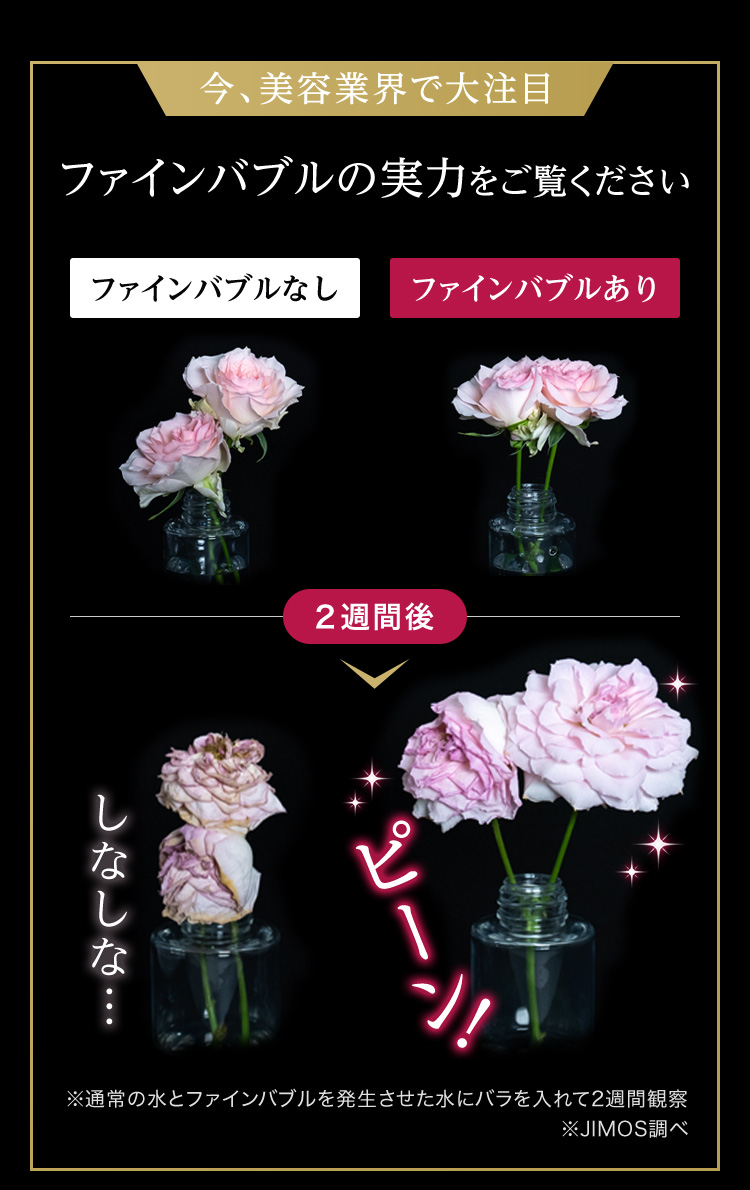 今、美容業界で大注目