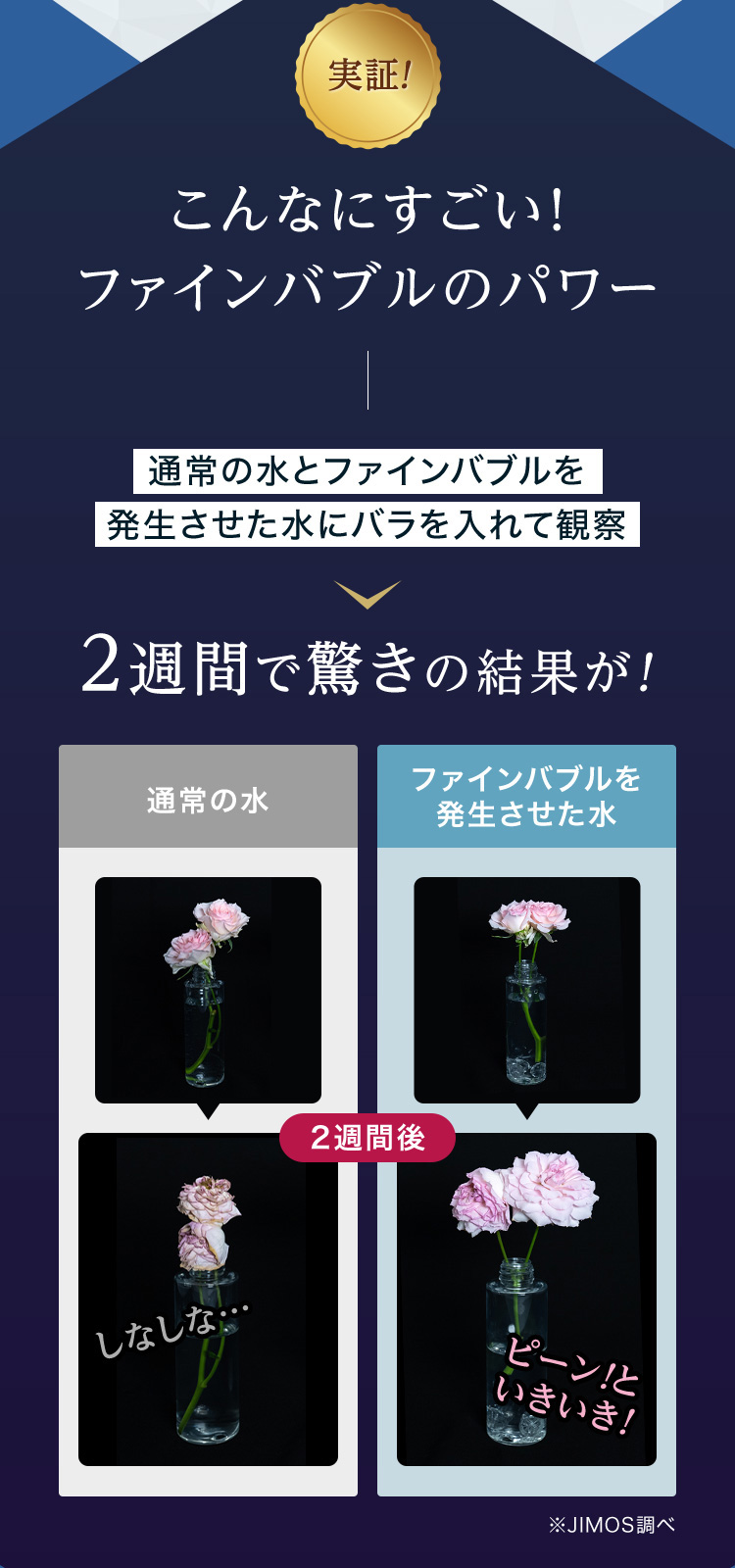 こんなにすごい！ファインバブルのパワー