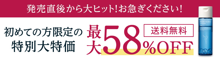 このページ限定